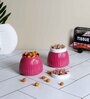 Metal  Pink Jar Set of 2