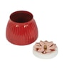 Metal  Red  Jar Set of 2