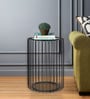 Handicrafts Town Metal Cage End Table in Black Finish