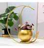 Metal Gold Flower Vase for Home Decor , Decorative Vintage Flower Moon Planter Candle  (Gold, Pack of 1)
