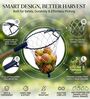 Blue Metal Fruit Catcher