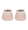 Metal Light Pink Jar Set of 2