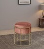 Harlan Metal Seating Stool in Champagne Colour