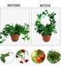 (Pack Of 5)Decorative Metal Plant Stand