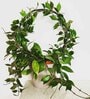 (Pack Of 6)Decorative Metal Plant Stand