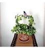 (Pack Of 5)Decorative Metal Plant Stand