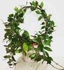 (Pack Of 5)Decorative Metal Plant Stand