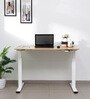 Metal Study Table in White & Urban Teak Finish With Adjustable Height