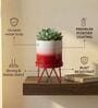 Red Metal Premium Lucas Plant Pot
