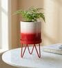 Red Metal Premium Lucas Plant Pot