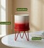 Red Metal Premium Lucas Plant Pot