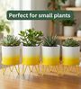 Yellow Metal Premium Lucas Plant Pot