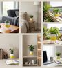 Yellow Metal Premium Lucas Plant Pot