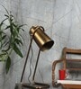 Metal Spotted Light Adjustable Shade Study Table Lamp