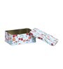 Metal Storage Box with Lid | Airtight| Rectangular (Light Blue)