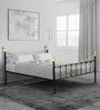 Metallika Metal Queen Size Bed in Black & Gold Colour