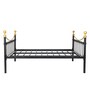Metallika Metal Queen Size Bed in Black & Gold Colour