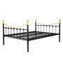 Metallika Metal Queen Size Bed in Black & Gold Colour