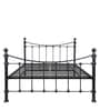 Metallika Arch Metal Queen Size Bed in Black Colour