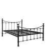 Metallika Arch Metal Queen Size Bed in Black Colour