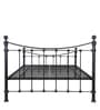 Metallika Arch Metal Queen Size Bed in Black Colour