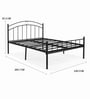 Etera Double Size Bed In Black Colour