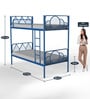 Nature  Metal Bunk Bed in Blue Colour