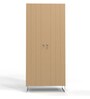 Metallika Zeya 2 Door Metal Almirah in Cappuccino Brown Colour