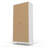 Metallika Zeya 2 Door Metal Almirah in Cappuccino Brown Colour
