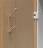 Metallika Zeya 2 Door Metal Almirah in Cappuccino Brown Colour