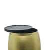 Veya Iron Storage Side Table In Gold Sparkling Finish