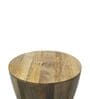Elysian Mango Wood Coffee Table In Natural Finish