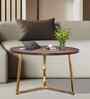 Zyra Natural Mango Wood Center Table In Golden Finish