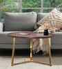 Zyra Natural Mango Wood Center Table In Golden Finish