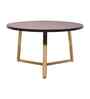 Zyra Natural Mango Wood Center Table In Golden Finish