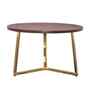 Zyra Natural Mango Wood Center Table In Golden Finish