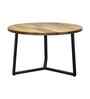Veya Natural Mango Wood Center Table In Black Finish