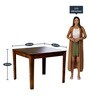 Metro 4 Seater Dining Table in Espresso Finish