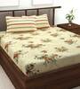 Metro Gold 100% Cotton 186TC King Size Bedsheet with 2 Pillow Covers
