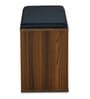 Metro Shoe Rack with 2 Seating in Walnut Finish