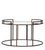 Meylon Coffee Table in Bronze Finish