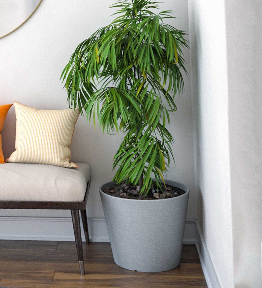 Buy Milano Grey Polymer Aloha Big Big Planter at 29 OFF by