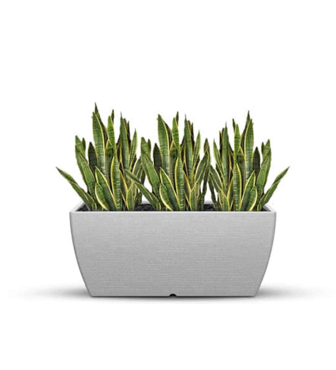 Buy Milano Grey Polymer Fabi Large Floor Planter by Planters Online