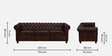 Miceli Leather 3 Seater Sofa In Brown Finish