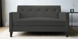 Miller Fabric 2 Seater Sofa in Charcoal Grey Colour