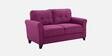 Aldrin Fabric 2 Seater Sofa In Mulberry Colour