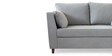 Miranda Velvet 2 Seater Sofa In Mist Grey Colour