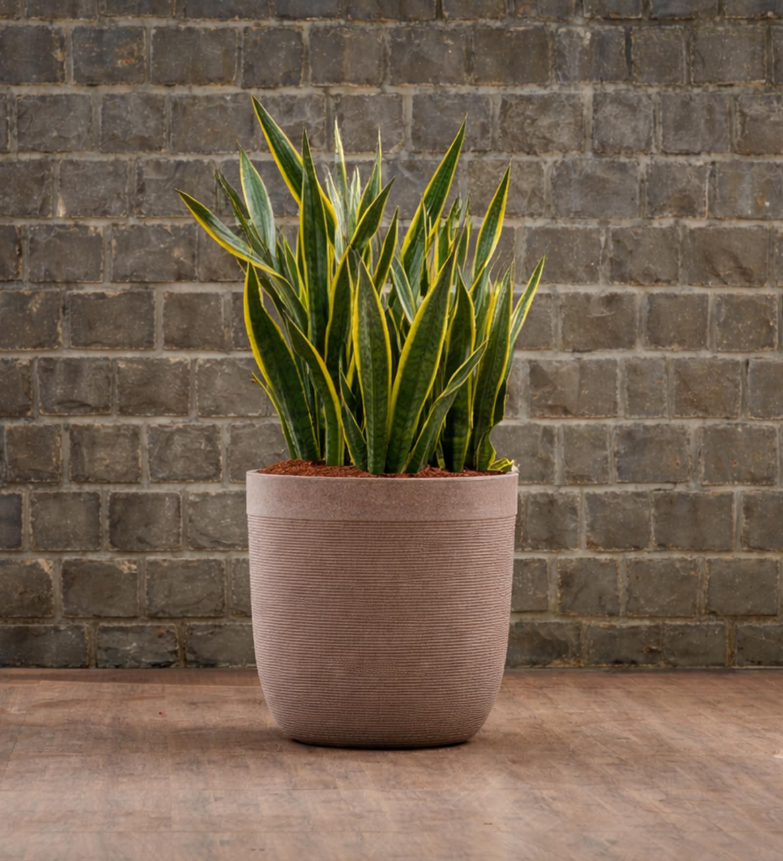 Sand Milano Round Molded 16 Inch Planter
