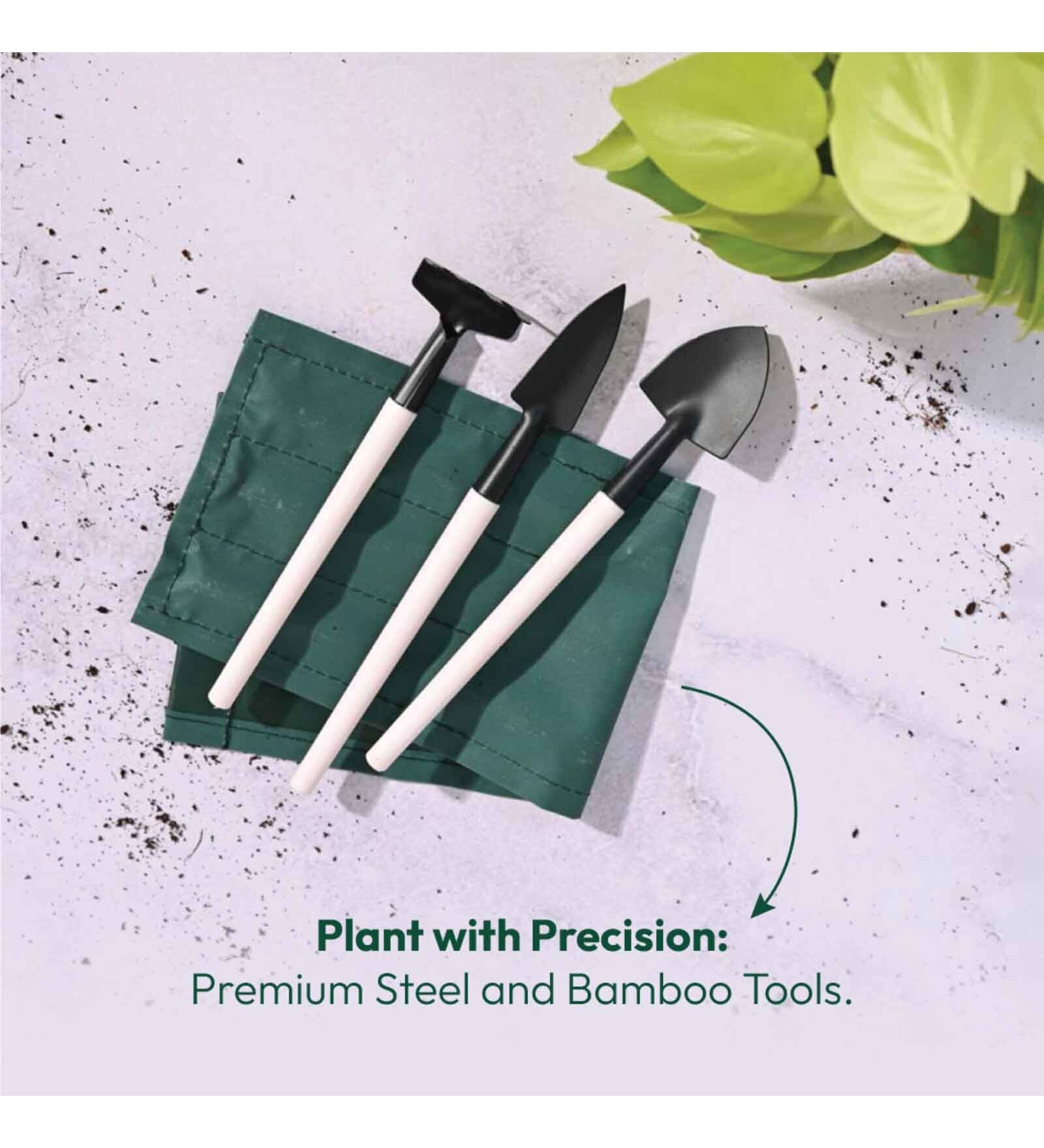 Mini Garden Bonsai Set