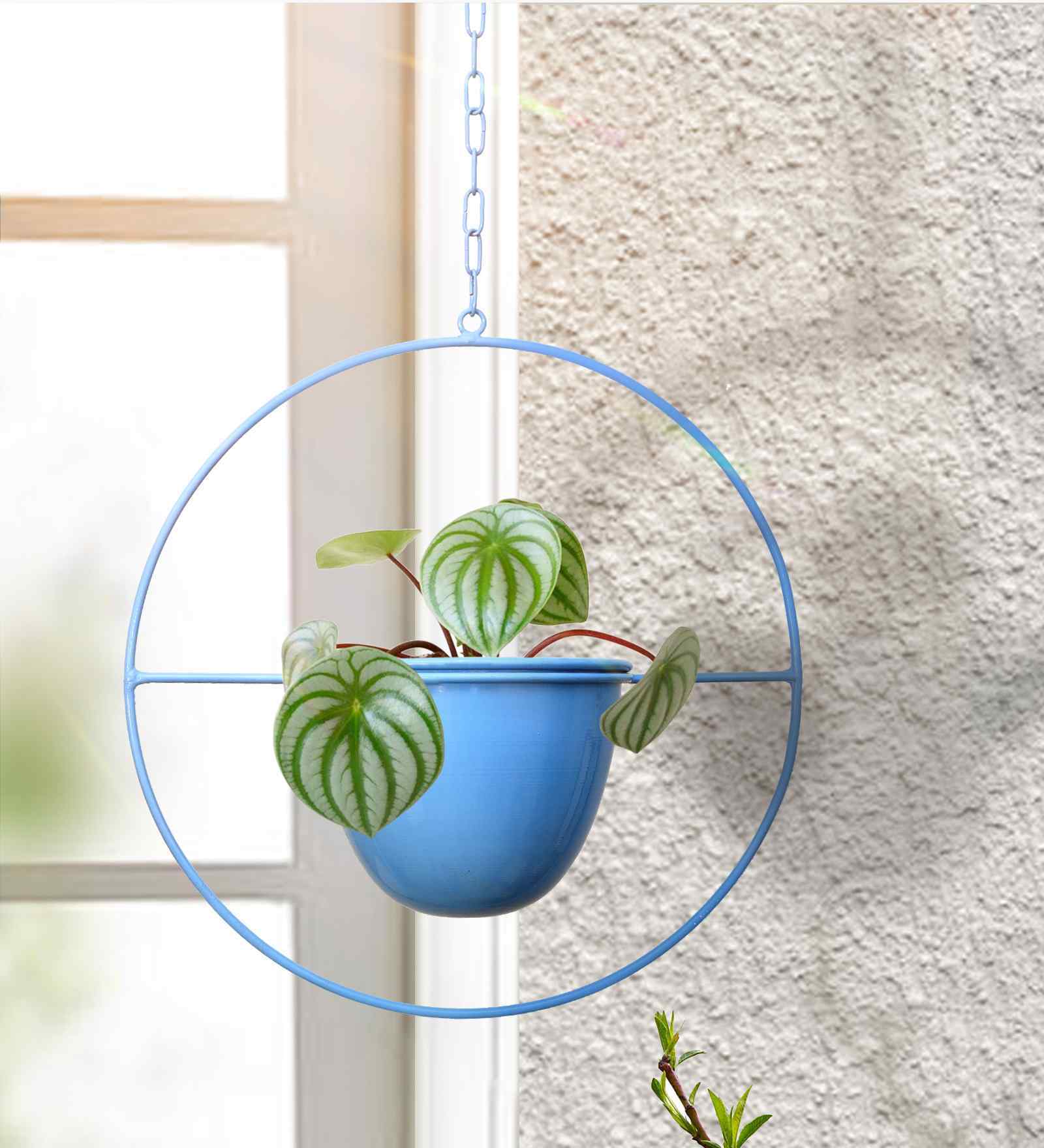 (1Pc) Green Hanging Metal Plant Stand